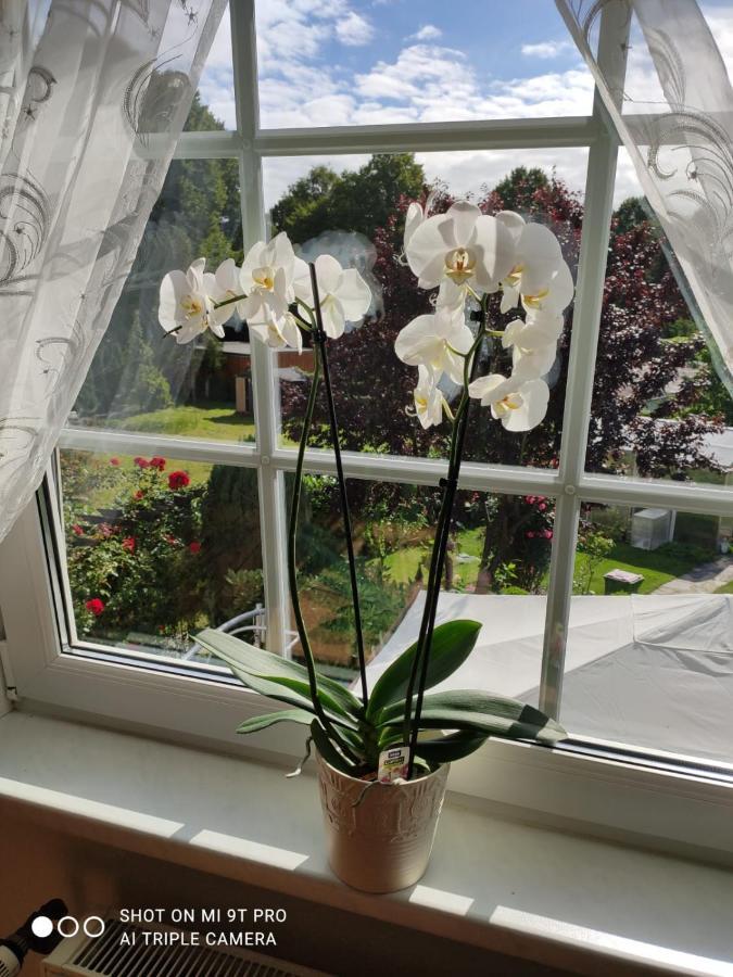 Blumen Apartment Hamburg Kültér fotó